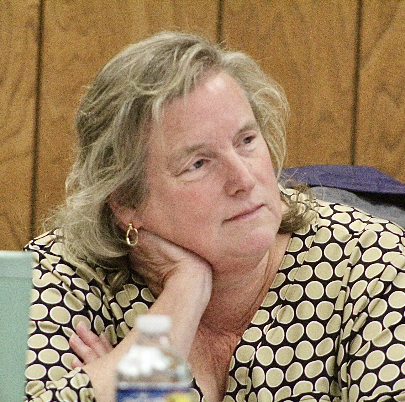Dunkirk sets Town Hall meeting for April 22 News, Sports, Jobs(02)